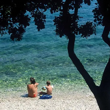 Green Marea Comfortable Holiday